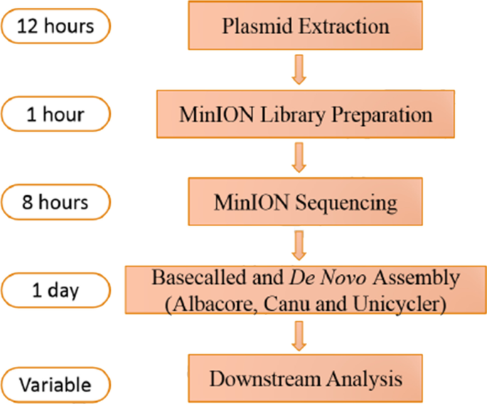 figure 14