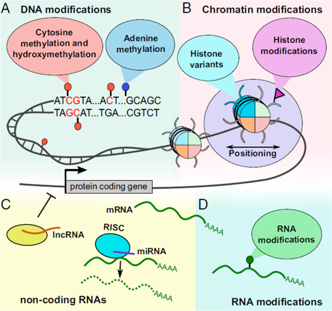 figure 16