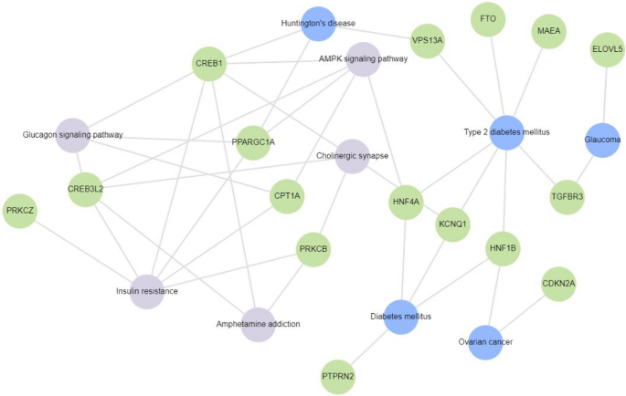 systematic literature review type 2 diabetes figure 3