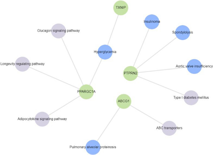 systematic literature review type 2 diabetes figure 4