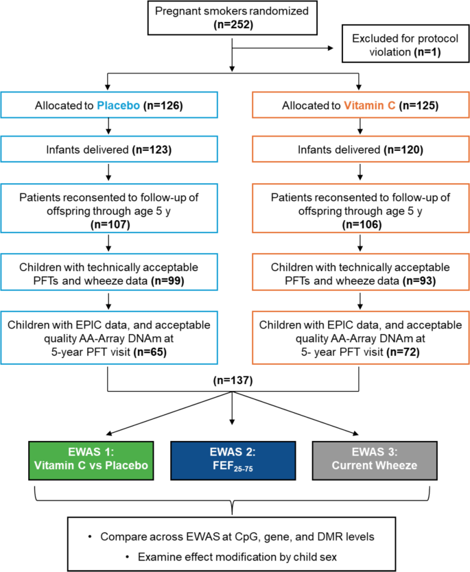 Vitamin C supplementation to pregnant smokers alters asthma- and ...