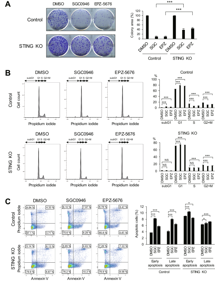 DOT1L inhibition exerts the anti-tumor effect by activating interferon ...