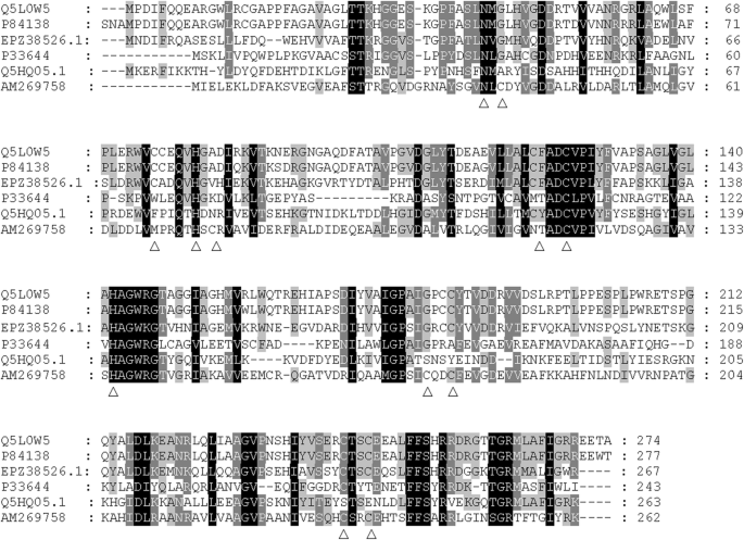 Bacterial Laccase Of Anoxybacillus Ayderensis Sk3 4 From Hot Springs Showing Potential For Industrial Dye Decolorization Annals Of Microbiology Full Text