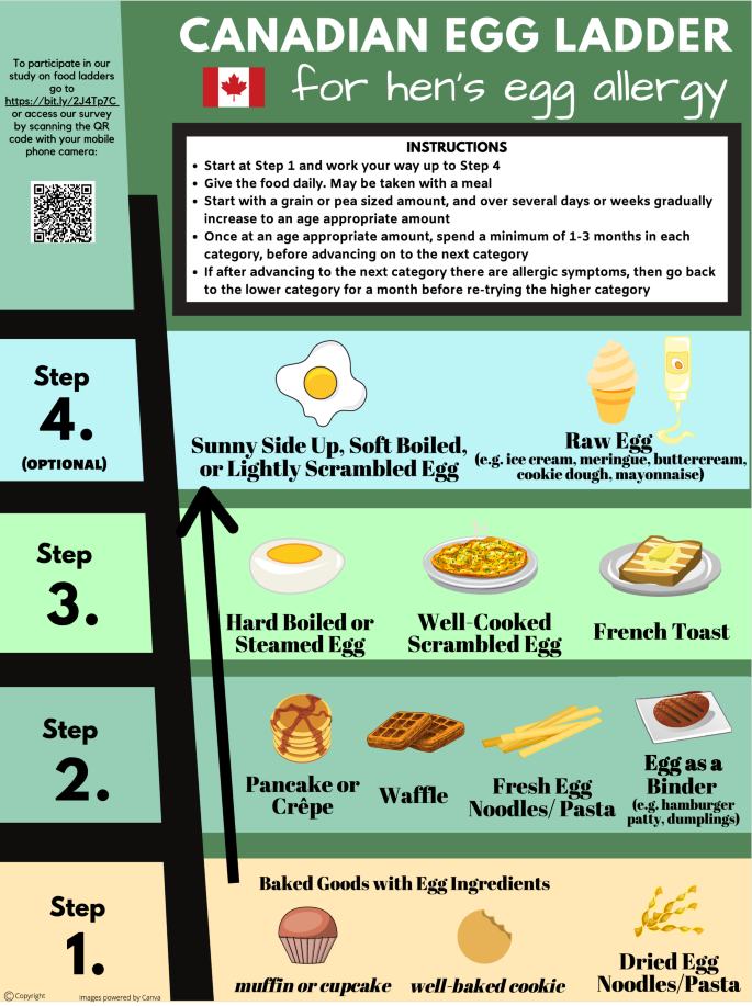 Canadian food ladders for dietary advancement in children with IgE-mediated  allergy to milk and/or egg | Allergy, Asthma & Clinical Immunology | Full  Text