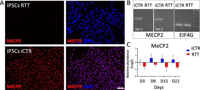 Niemann–Pick type C disease: cellular pathology and pharmacotherapy -  Wheeler - 2020 - Journal of Neurochemistry - Wiley Online Library