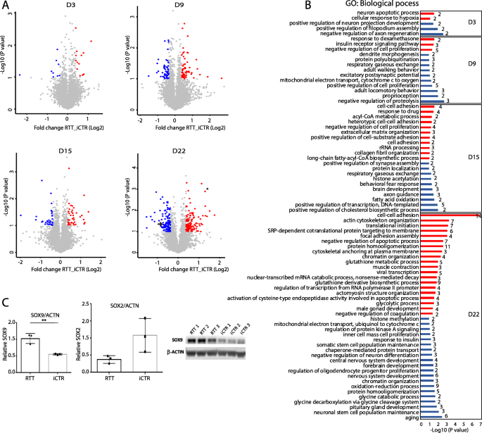 Niemann–Pick type C disease: cellular pathology and pharmacotherapy -  Wheeler - 2020 - Journal of Neurochemistry - Wiley Online Library