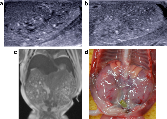 figure 20