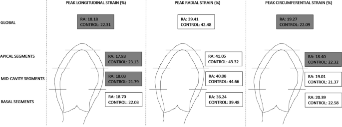 Myocardial strain assessed by feature tracking cardiac magnetic resonance  in patients with a variety of cardiovascular diseases – A comparison with  echocardiography