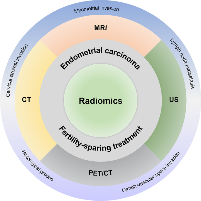 Radiomics-based fertility-sparing treatment in endometrial carcinoma: a  review | Insights into Imaging | Full Text