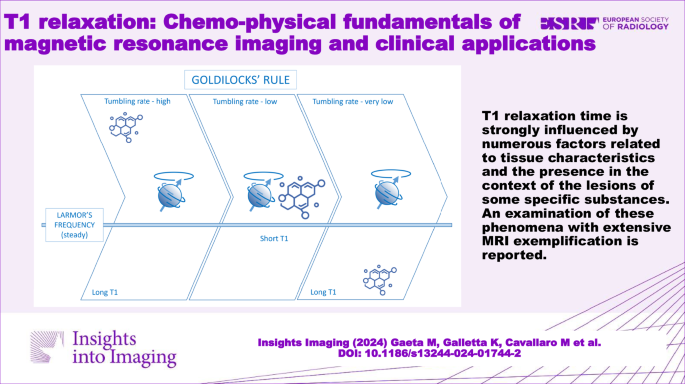 T1 relaxation: Chemo-physical fundamentals of magnetic resonance 