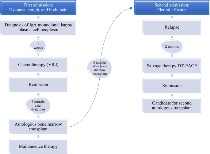 Extramedullary relapse of Immunoglobulin A-kappa myeloma manifesting as  plasmacytoma of the pleura without bone marrow involvement and following  autologous bone marrow transplant: a case report | Journal of Medical Case  Reports