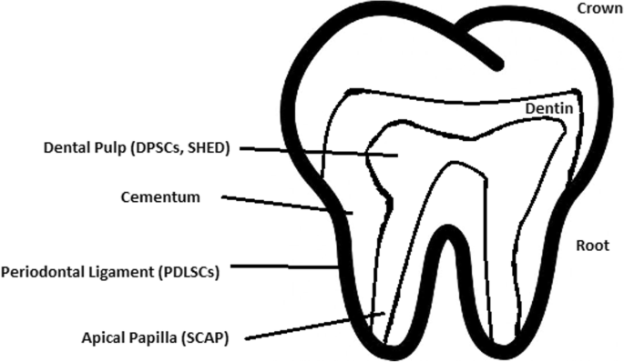 figure7