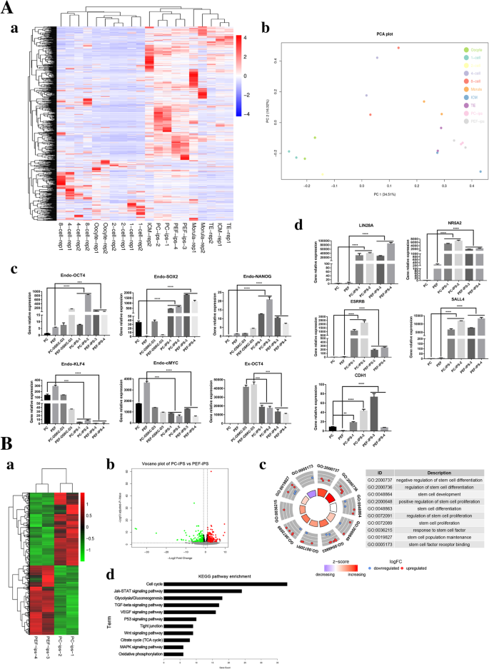 Generation Of Pig Induced Pluripotent Stem Cells Using An Extended Pluripotent Stem Cell Culture System Stem Cell Research Therapy Full Text
