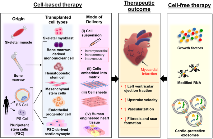 
Leading providers of stem cell therapy targeting Heart Failure thumbnail