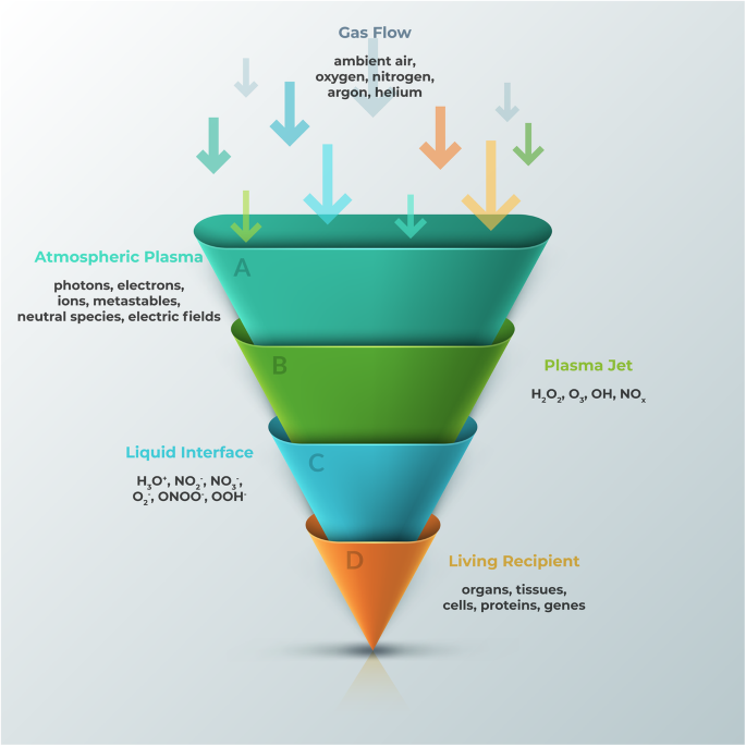 Hierarchical delivery of plasma-derived reactive species towards stem cells and stem cell niche. (A) Atmospheric plasma phase, and its main components. (B) Plasma jet, and the reactive species contained in its plume. If CAP is used as an indirect approach to activate a stem cell niche, the entire process occurs when plasma jet interacts with the solid interface of a niche. However, if CAP is used to directly stimulate a living recipient, it propagates through a liquid phase first. (C) Liquid interface, and various RONS created upon diffusion through it. (D) The biological effect of plasma penetrates across various levels