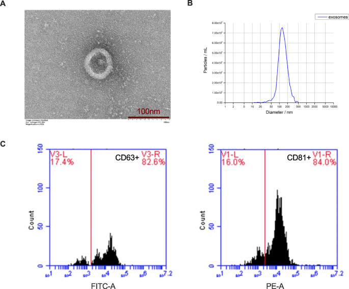 figure1