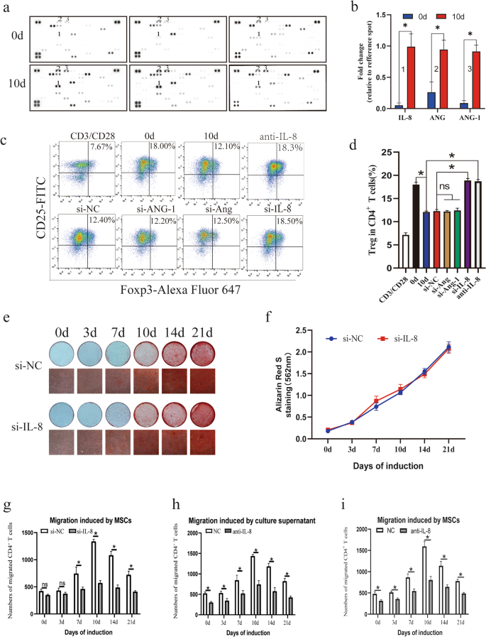 Proteome Profiler Human XL Cytokine Array Kit ARY022B: R&D Systems