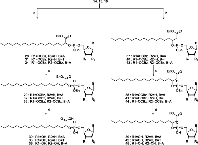 scheme 7