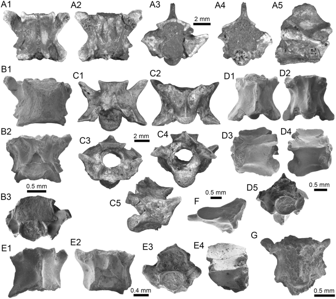 figure 18