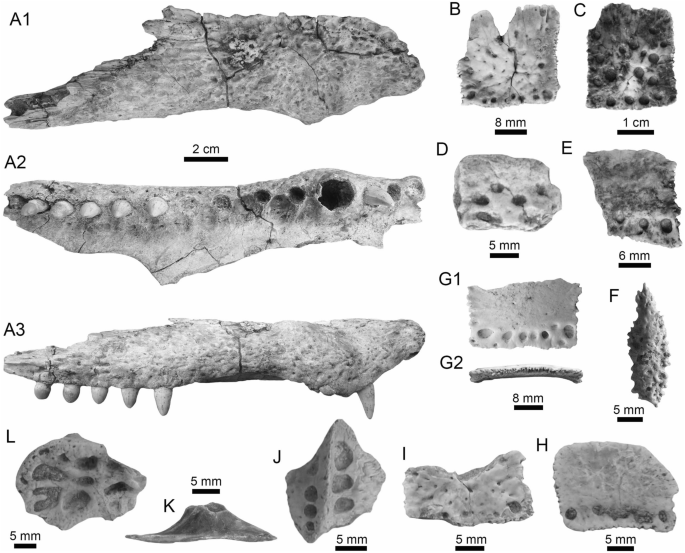 figure 19