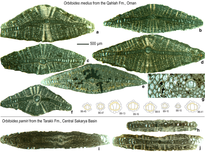 figure 21