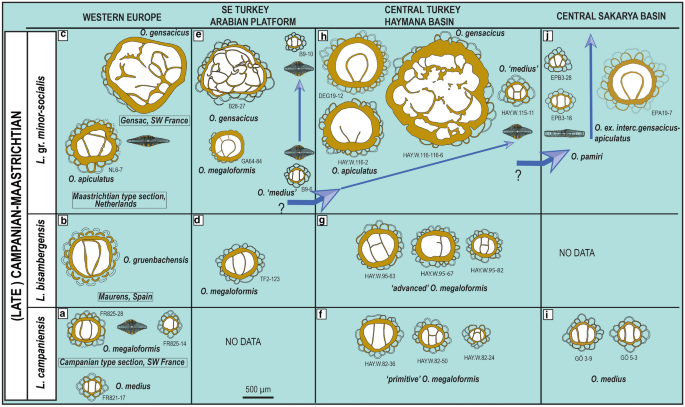 figure 23