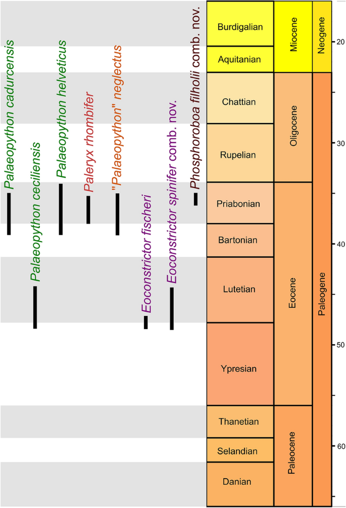 figure 113