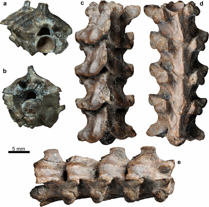 figure 48