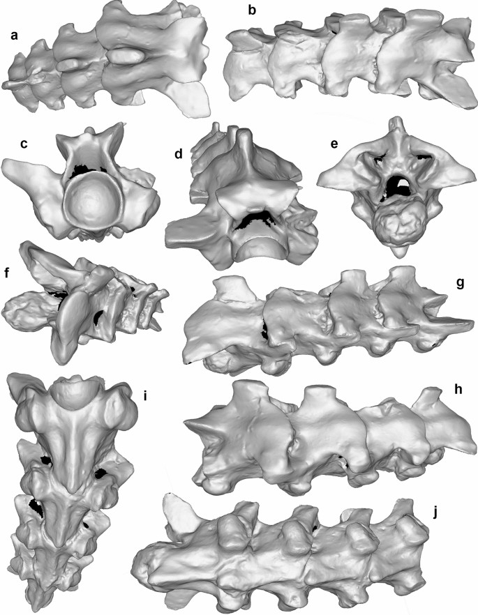 figure 49