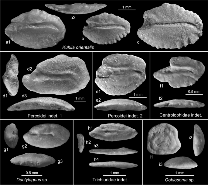 figure 16