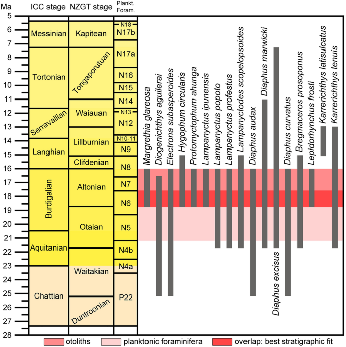 figure 24