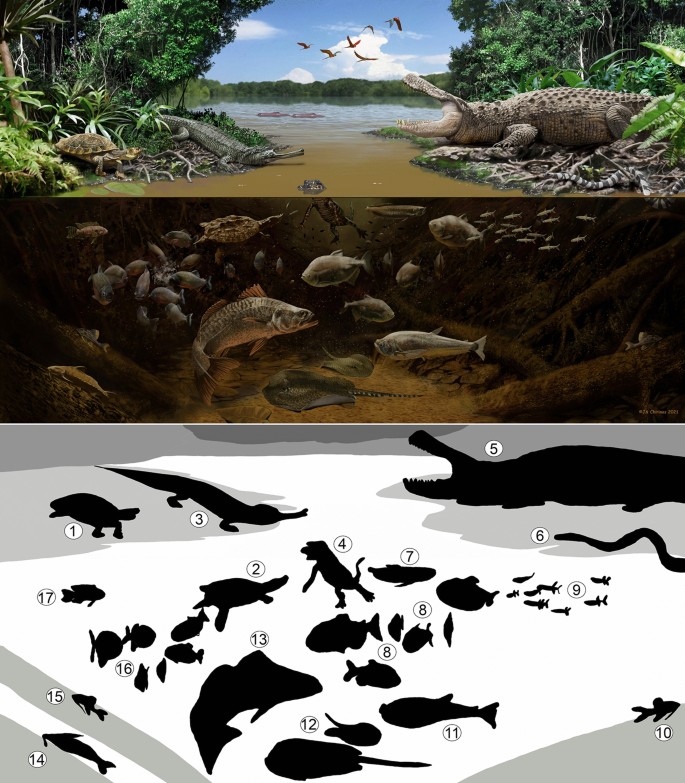 A historical vertebrate collection from the Middle Miocene of the Peruvian  Amazon | Swiss Journal of Palaeontology | Full Text