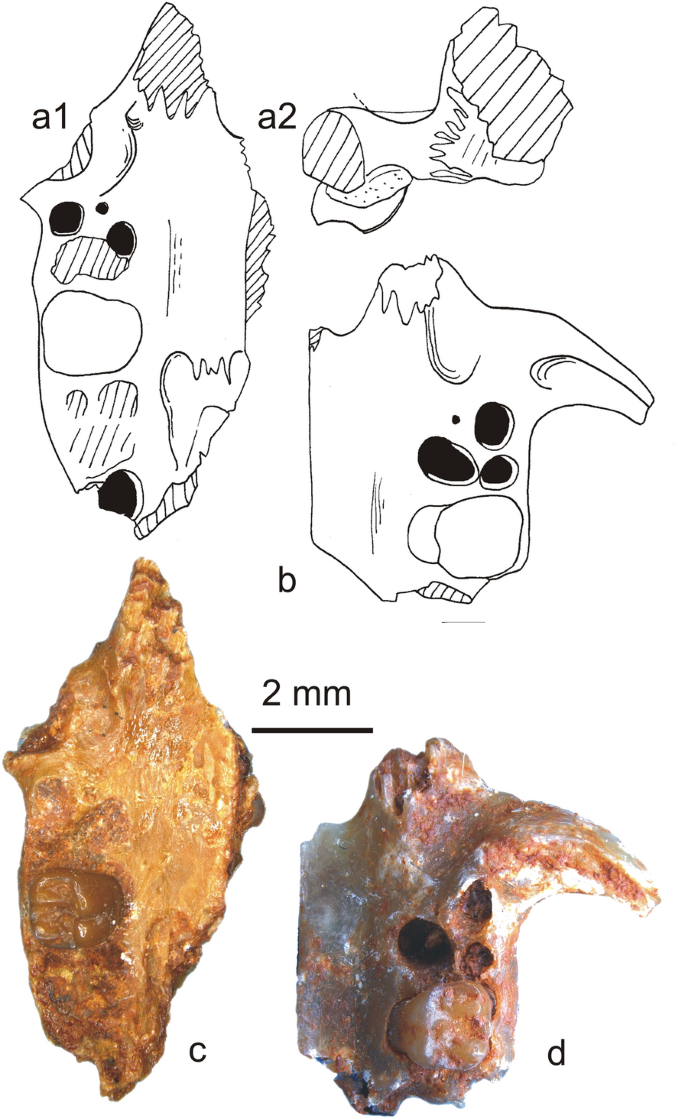 figure 22