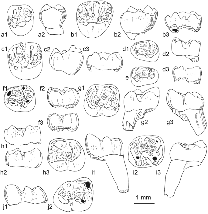 figure 38