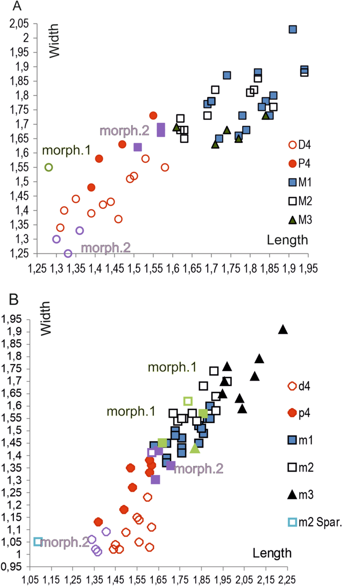 figure 43