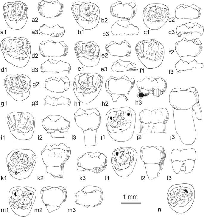 figure 45