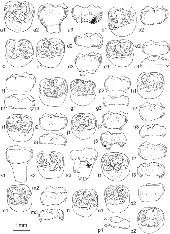 figure 46