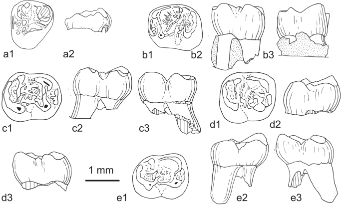 figure 49