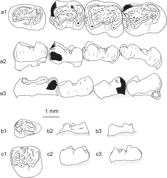 figure 52