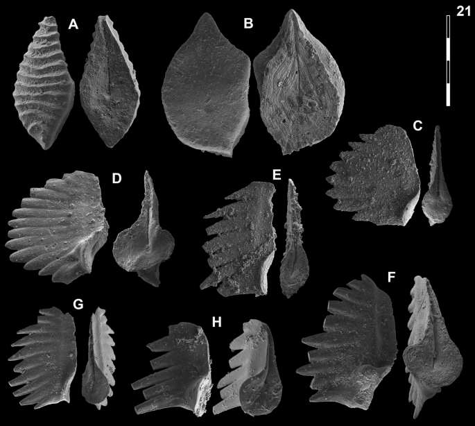 figure 14