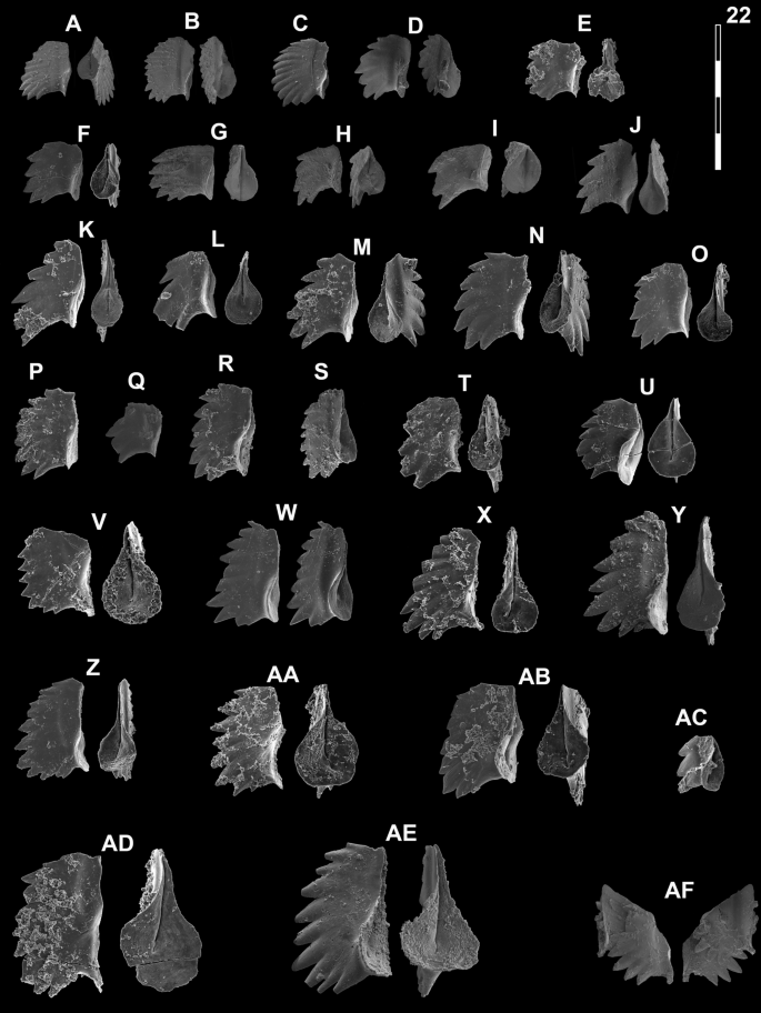 figure 17