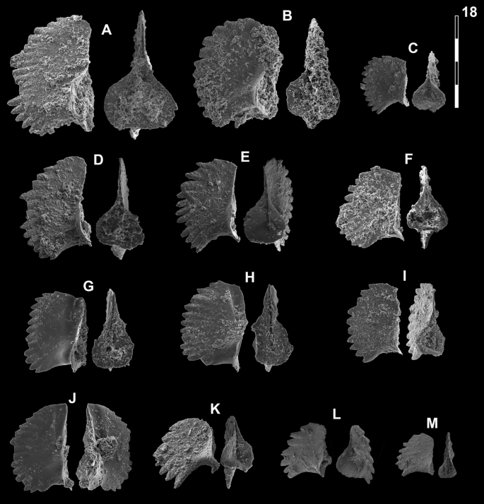 figure 21