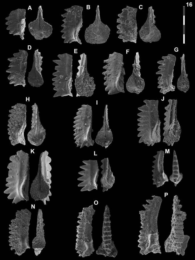 figure 25