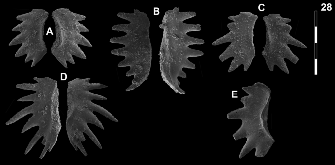 figure 28