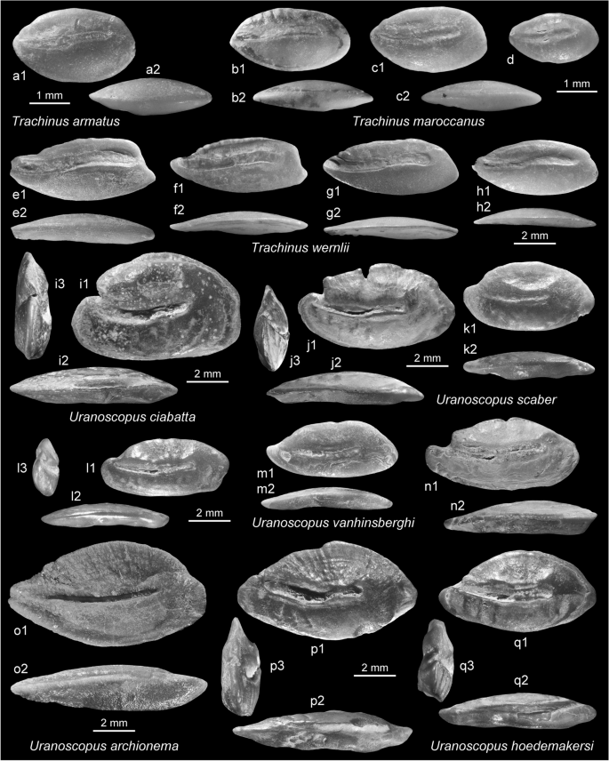 figure 25