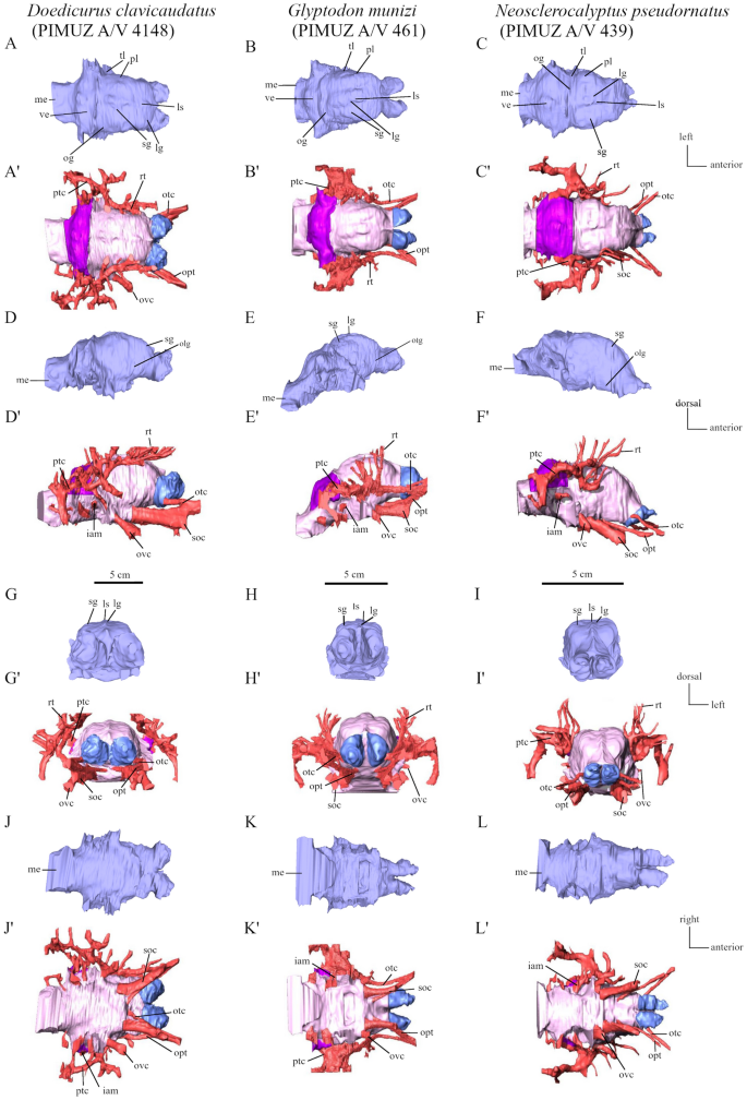 figure 11