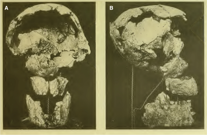 On Roth&rsquo;s “human fossil” from Baradero, Buenos Aires Province 