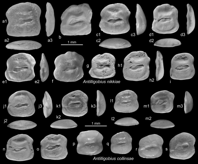 figure 24