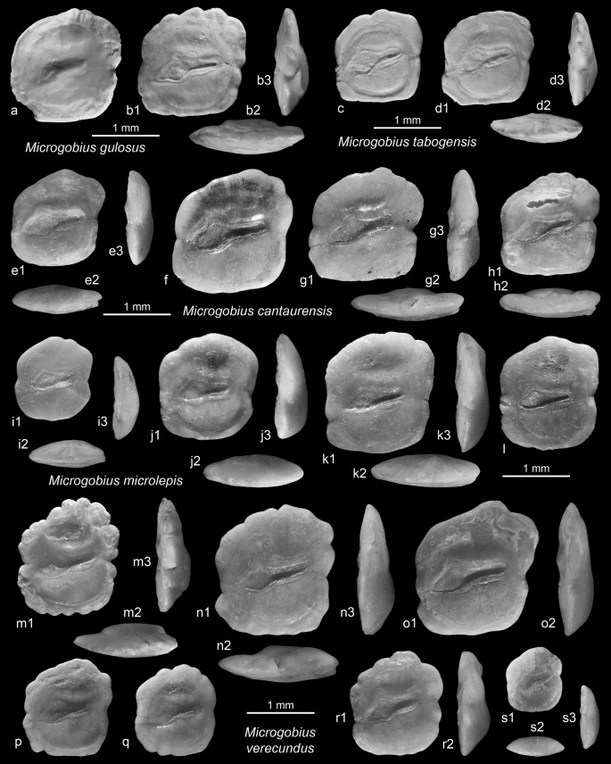 figure 27