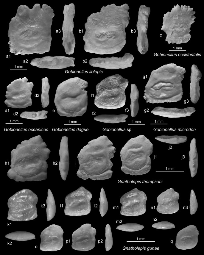 figure 44